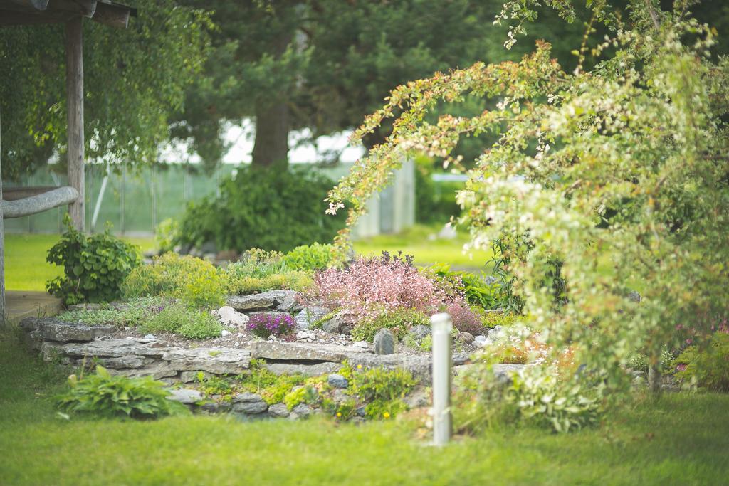 Arina Cottages Nasva Chambre photo